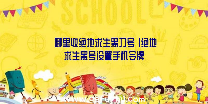 「哪里收绝地求生黑刀号」|绝地求生黑号设置手机令牌